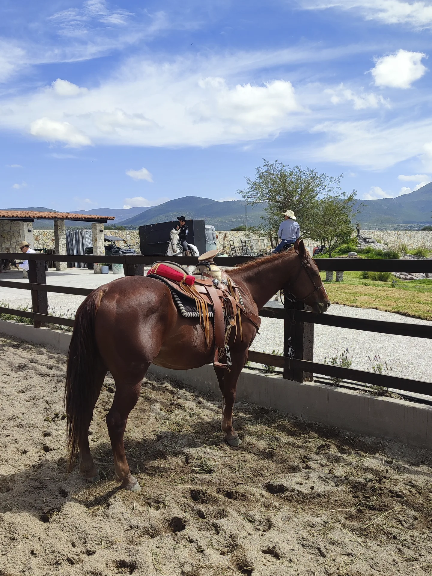 Cabalgatas en Mata de Uva