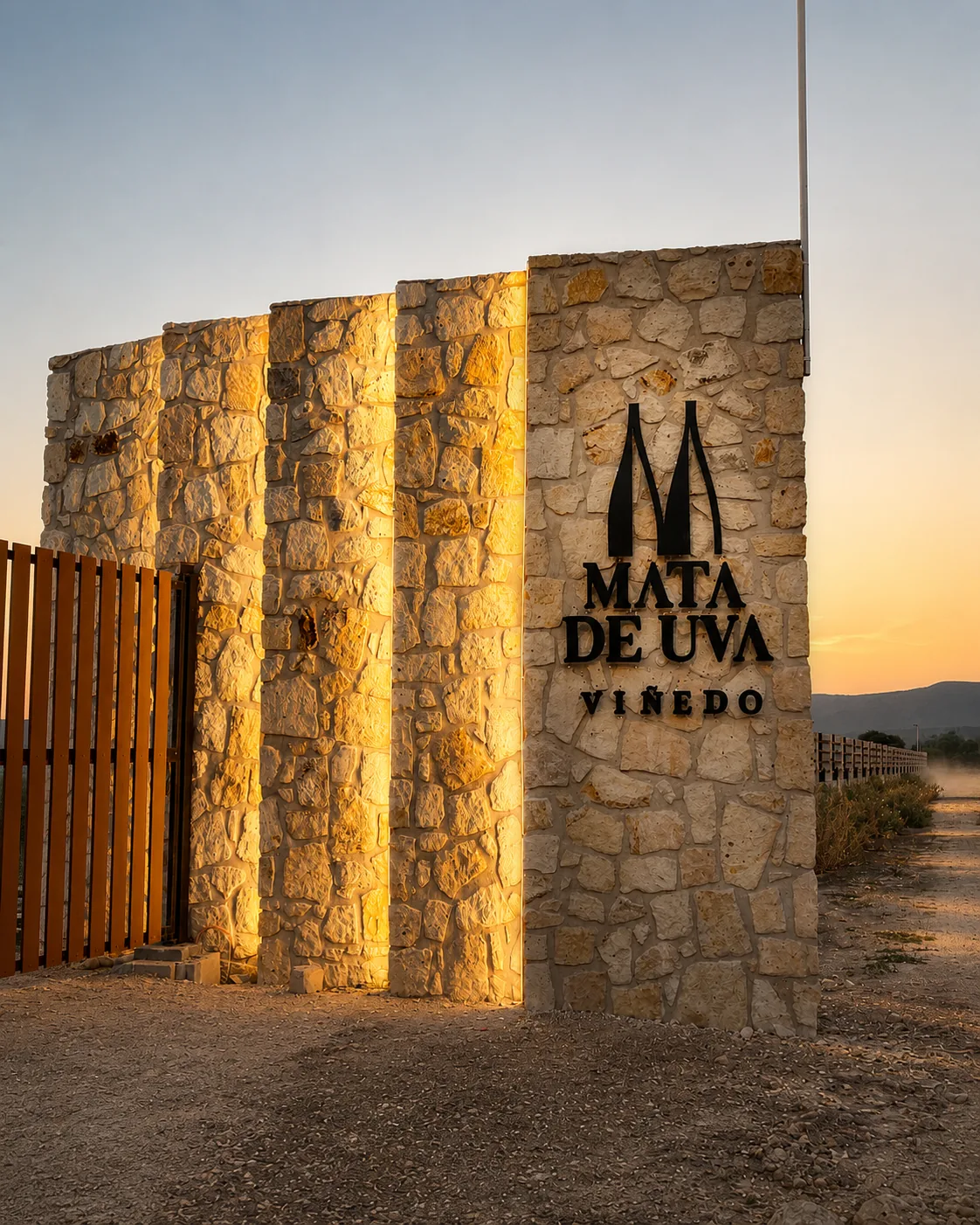 Galería Mata de Uva 02